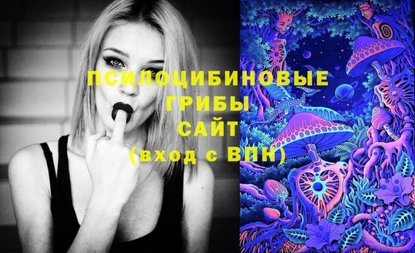 СК Приозерск